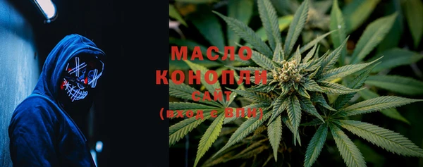 ешки Новодвинск