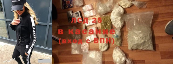 ешки Новодвинск