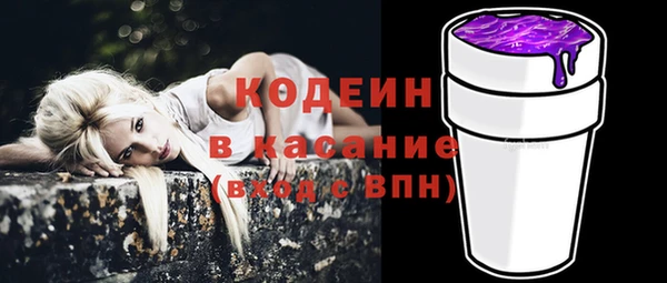 ешки Новодвинск