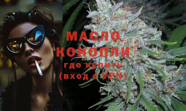 ешки Новодвинск