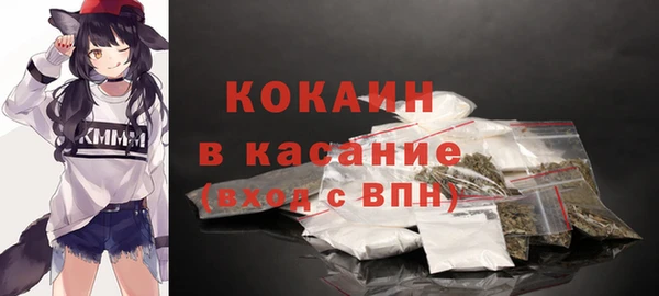 ешки Новодвинск
