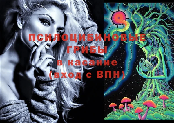 ешки Новодвинск