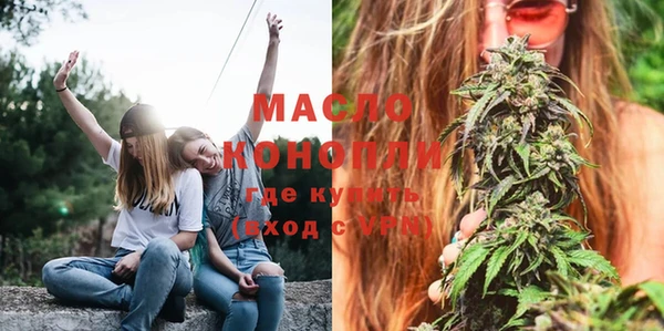 ешки Новодвинск