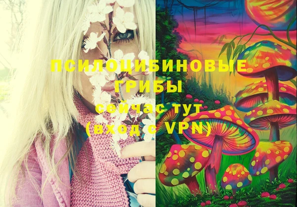 гашиш Новозыбков
