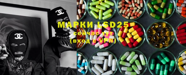 ешки Новодвинск