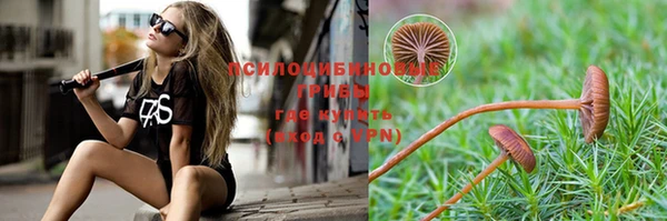 jwh Новокубанск